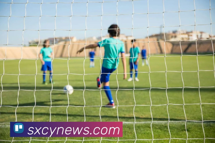 App 展示图